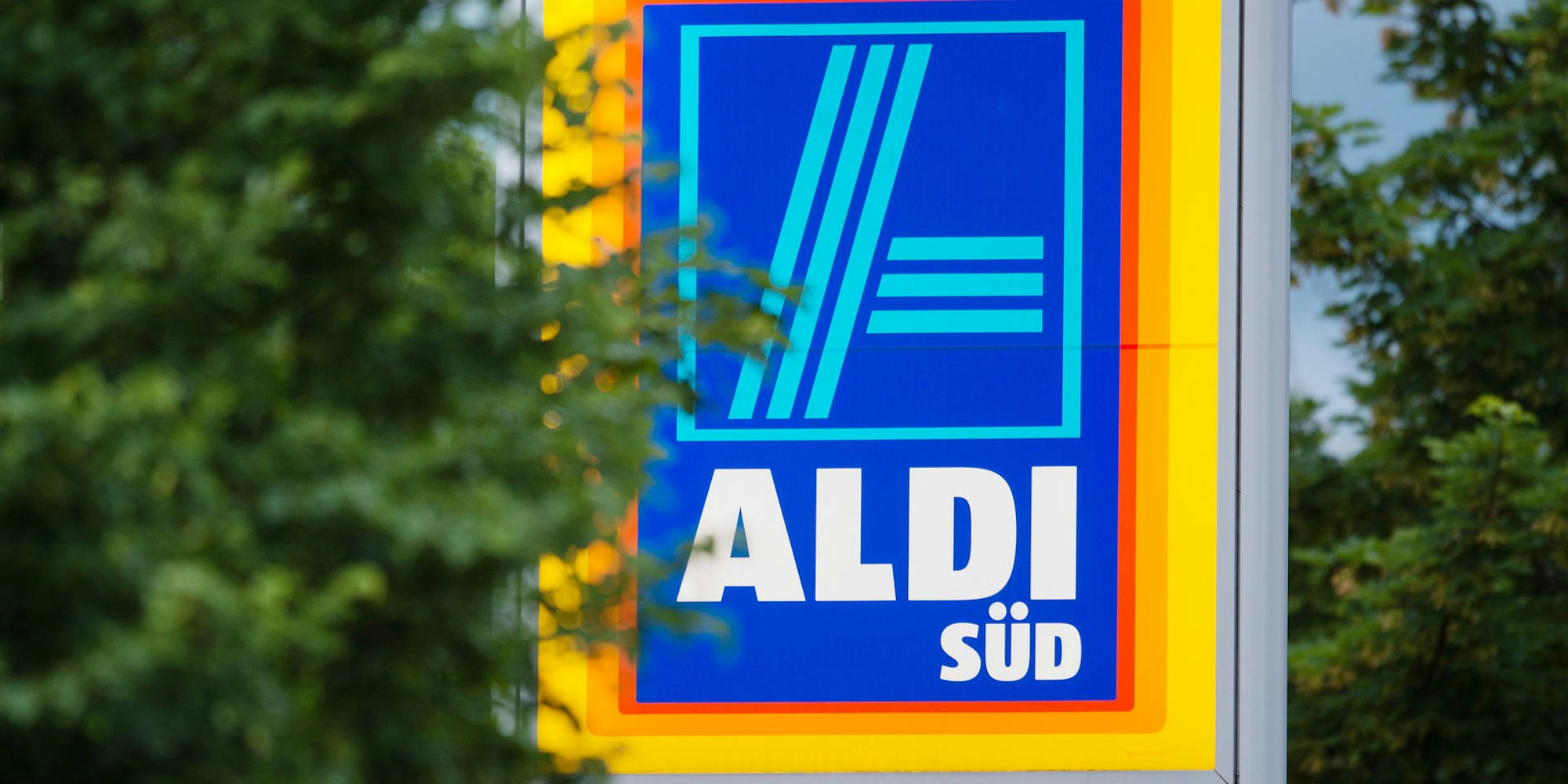 Aldischild