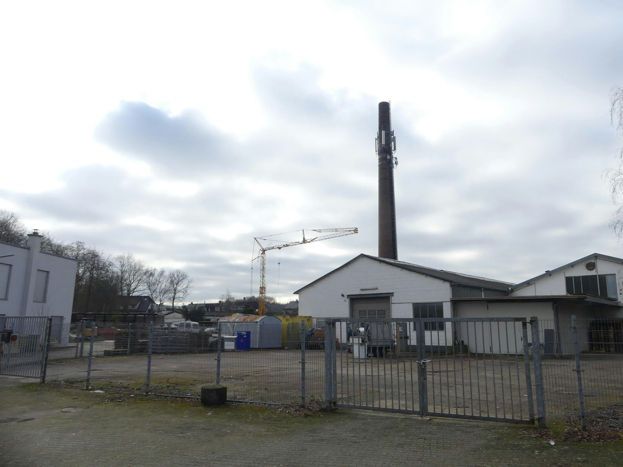 roes-bauen-ehrenfeld-004