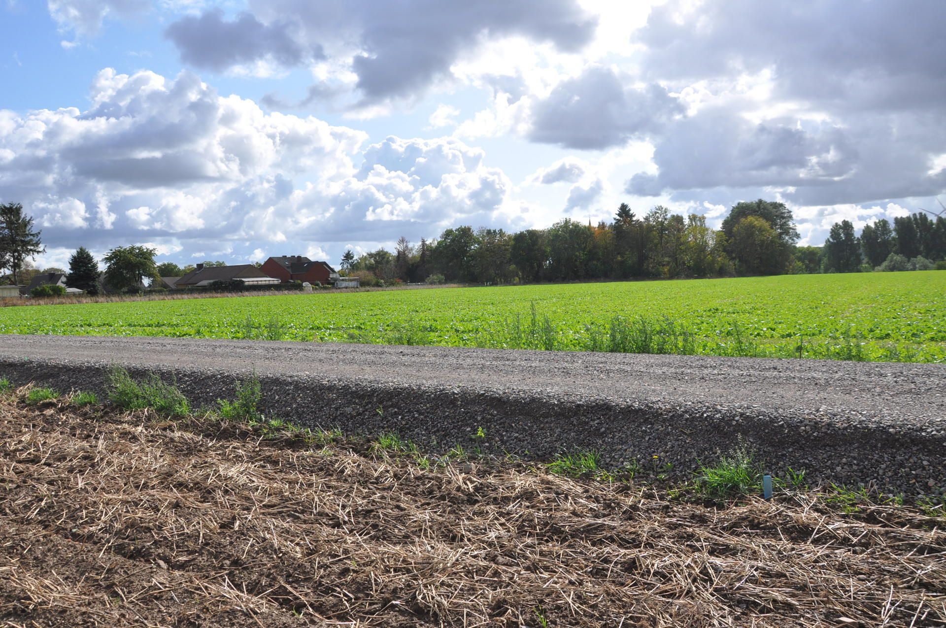 Feldweg Heckelsberg