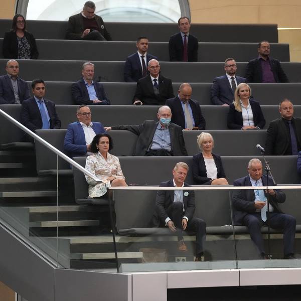 AfD Bundestag DPA 071221