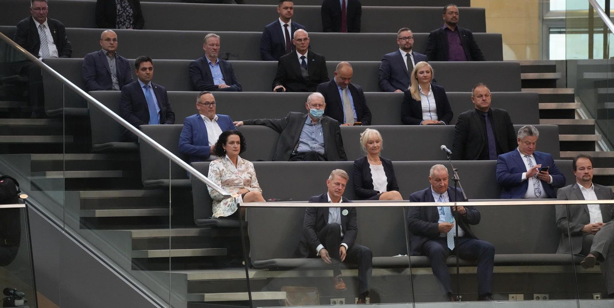 AfD Bundestag DPA 071221
