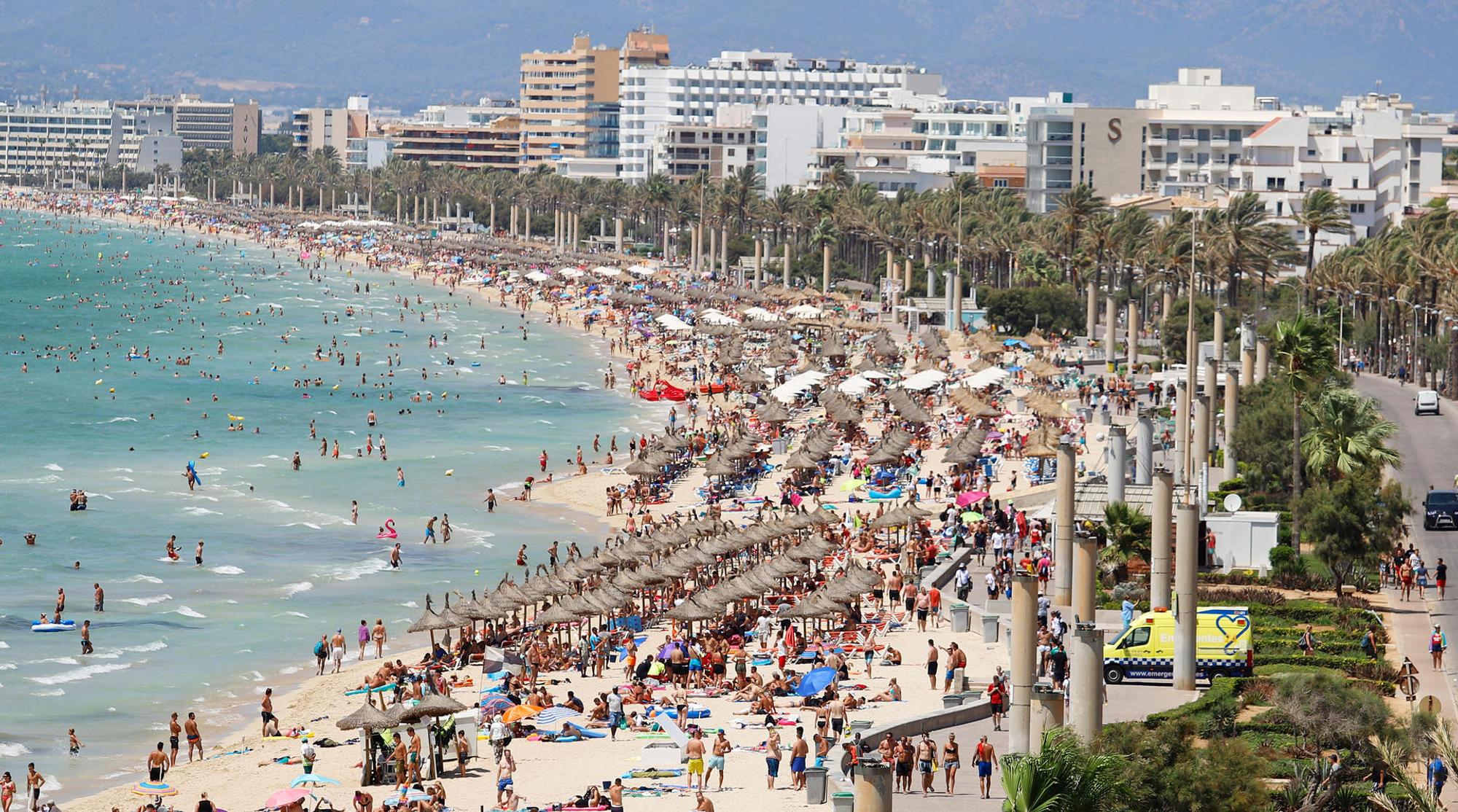 Foto Palma