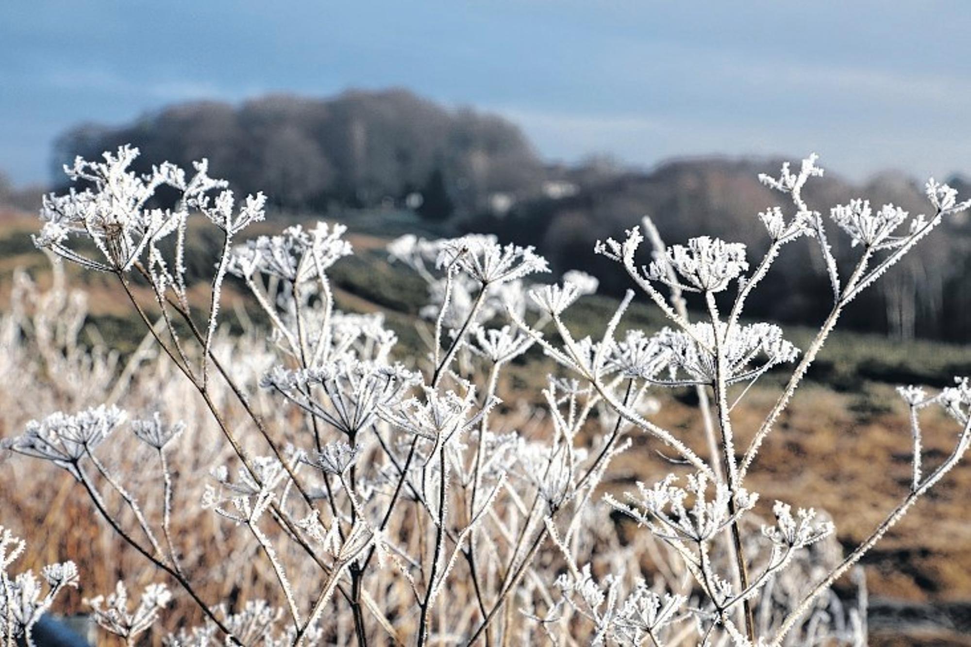 winterwanderung1