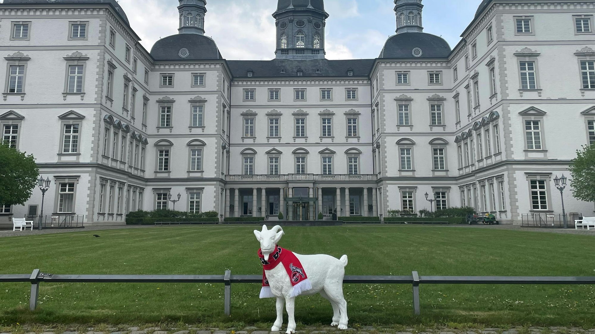 Eine Figur des 1. FC Köln Maskottchens „Hennes“ mit Fan-Schal vor dem Schloss Bensberg.