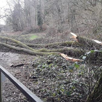 Naafbachtal-Aggerverband