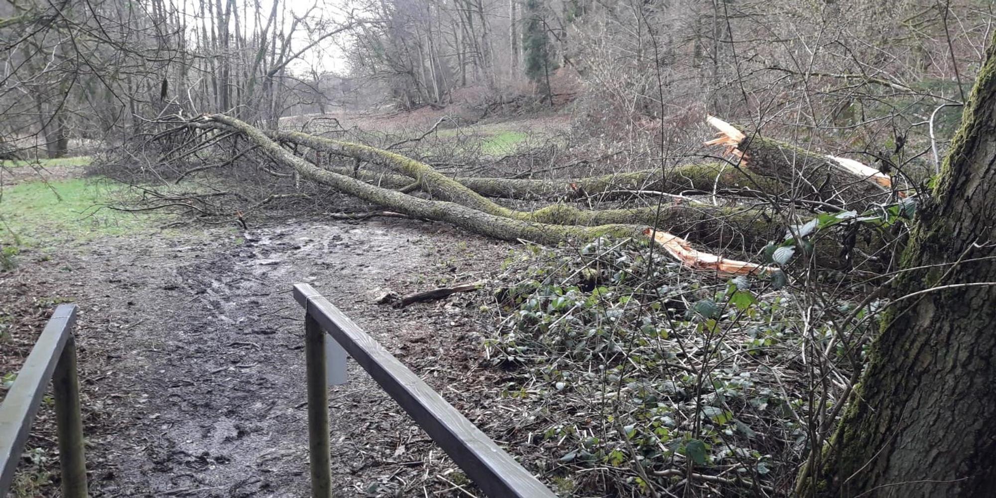 Naafbachtal-Aggerverband