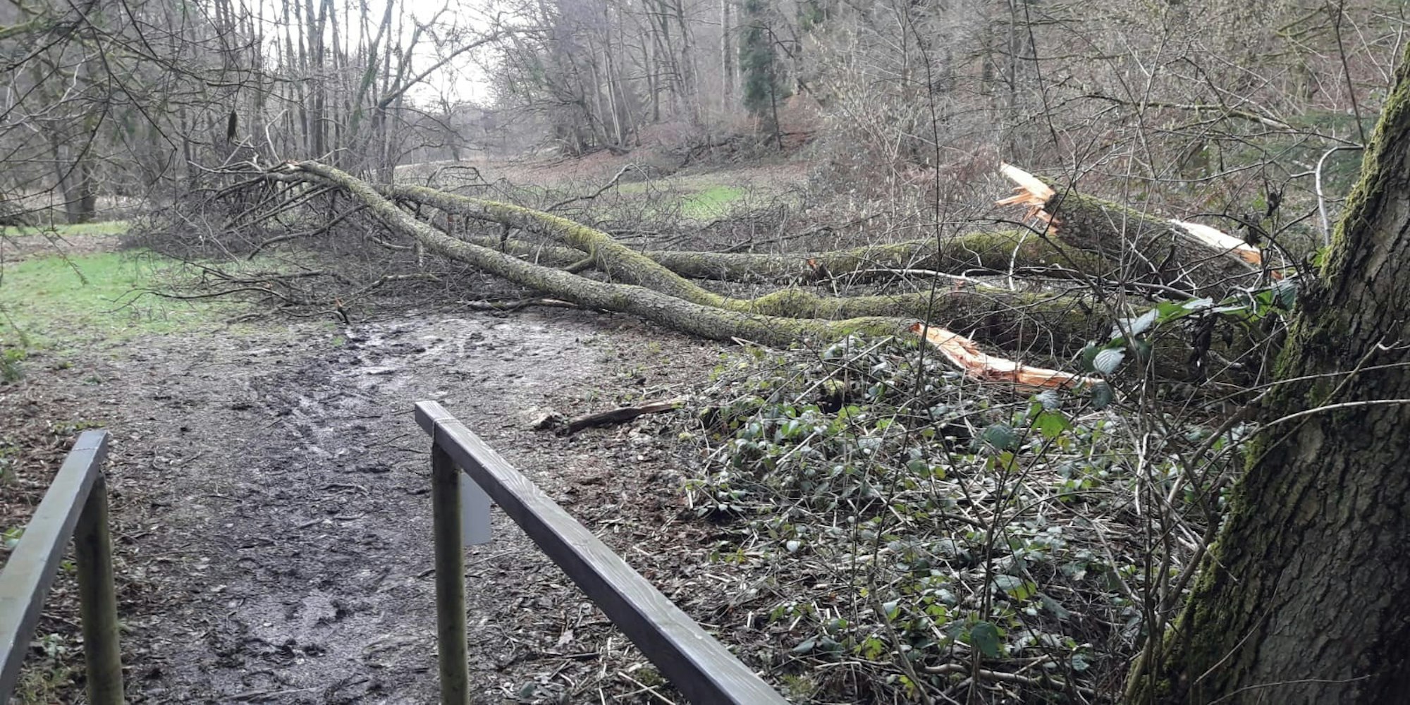 Naafbachtal-Aggerverband