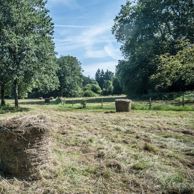 morsbroich_RLE_Leverkusen07302021ALF_6468