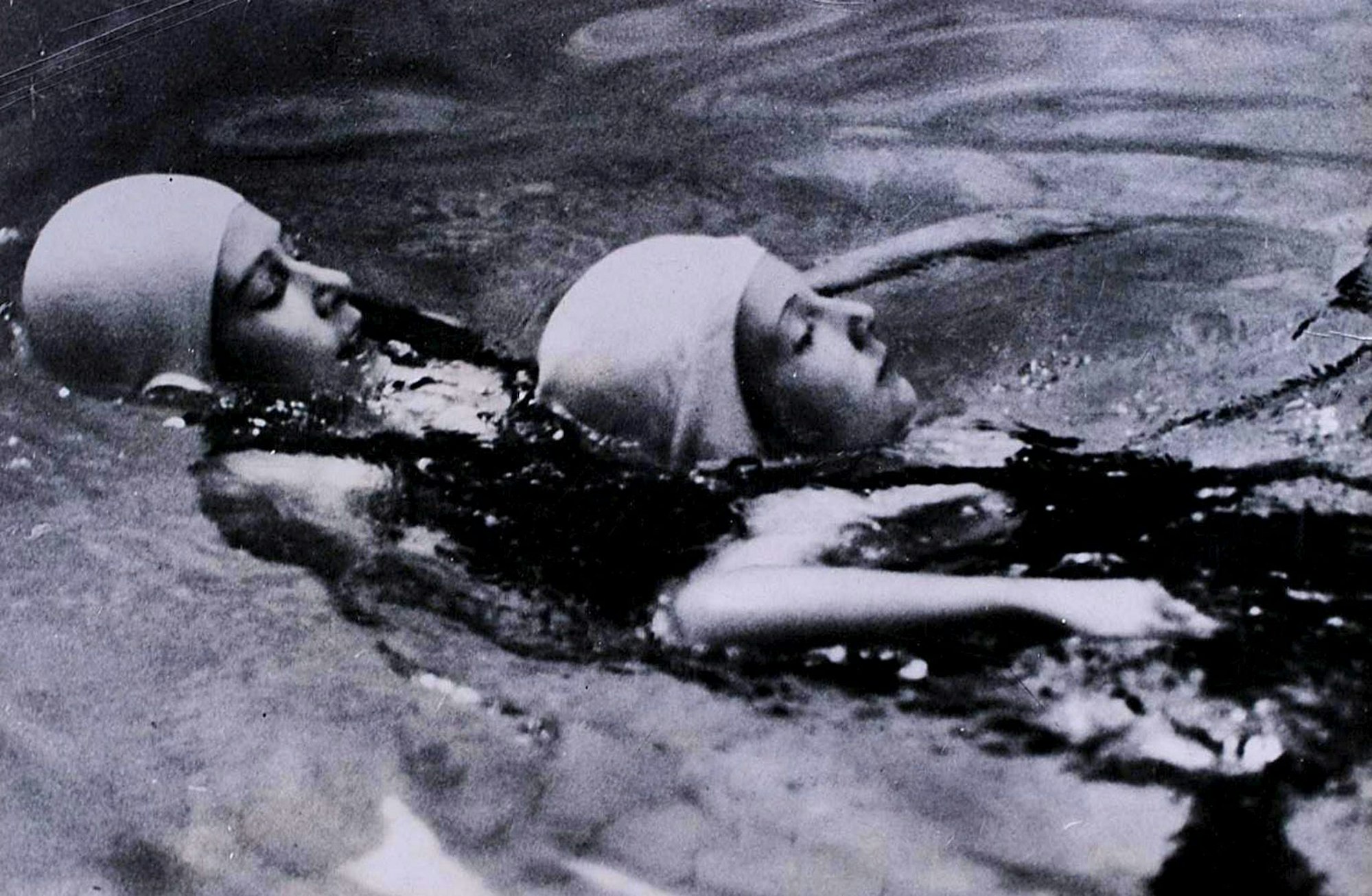 Queen beim Schwimmen