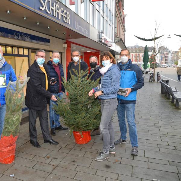 Gratis_Fichten