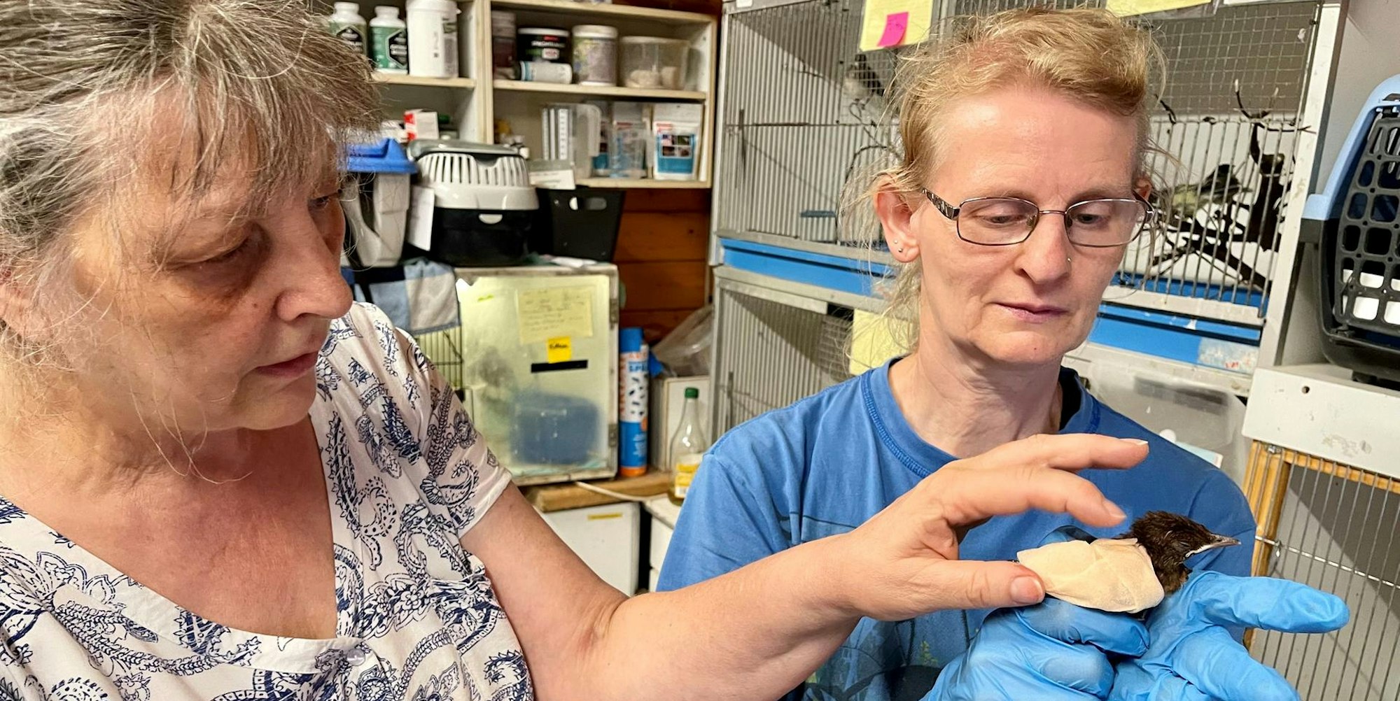 20220726-seb-wildvogelstation1