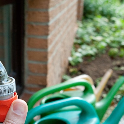 Vor_erstem_Frost_Was_62956442