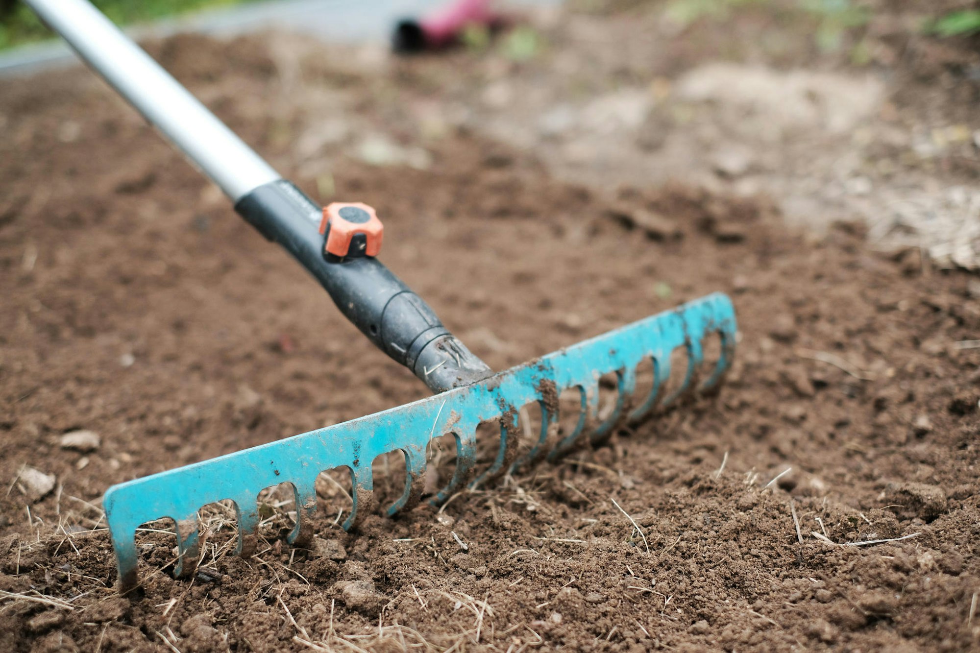 20200904-MAX-gartenkalender-07