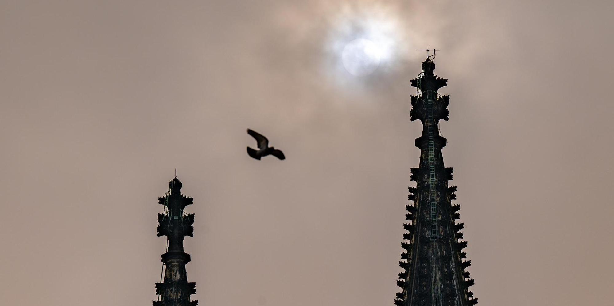 Saharastaub Köln Dom WEISER