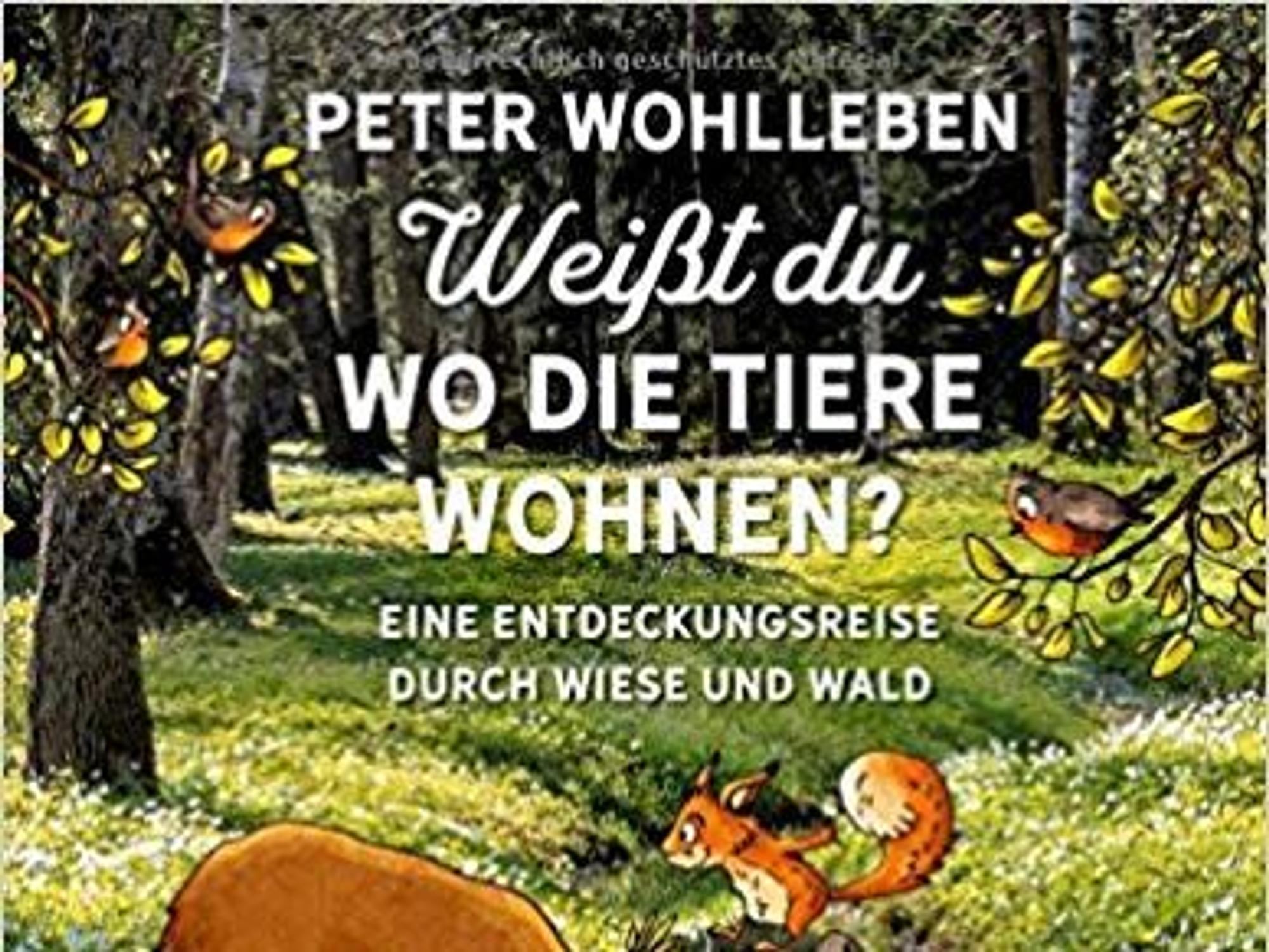 Neuer Inhalt