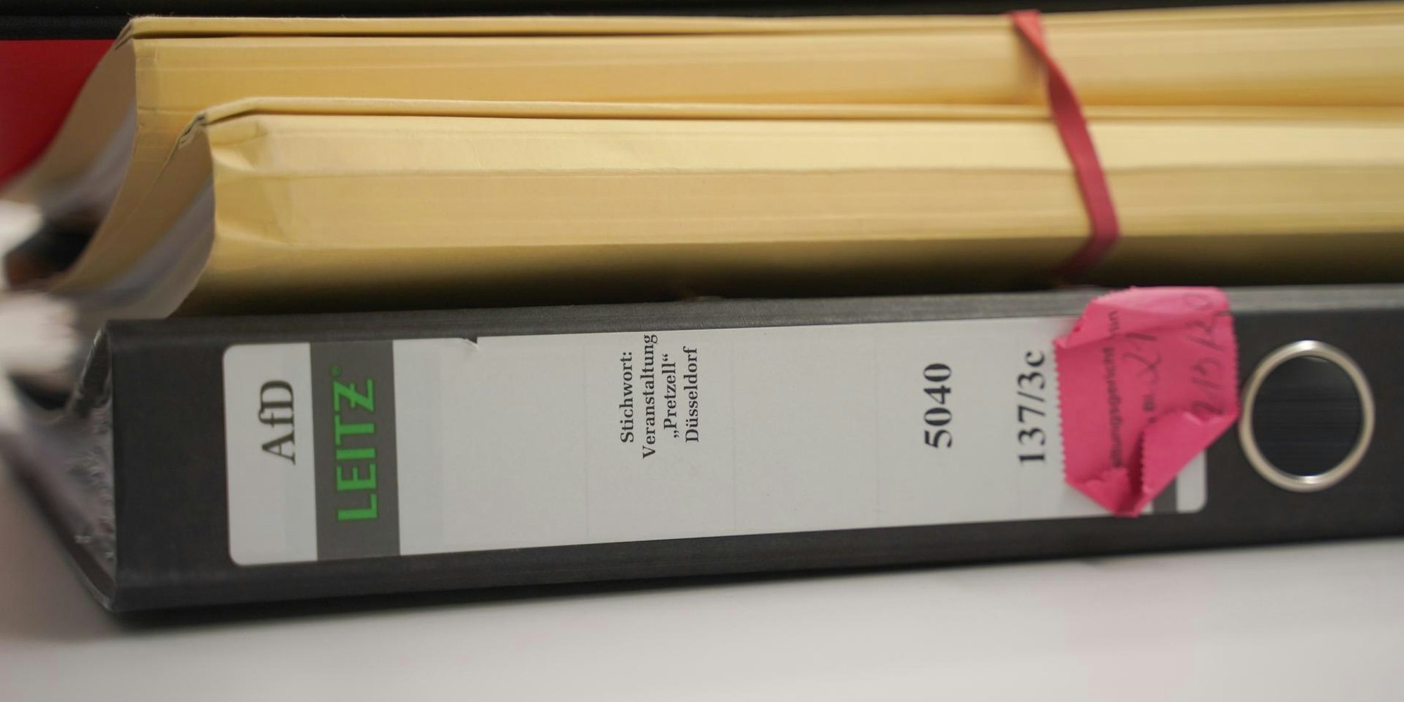 AfD-Akten im Gericht