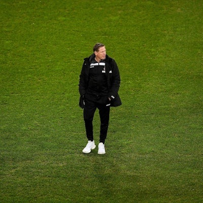 Gisdol auf dem Rasen klein