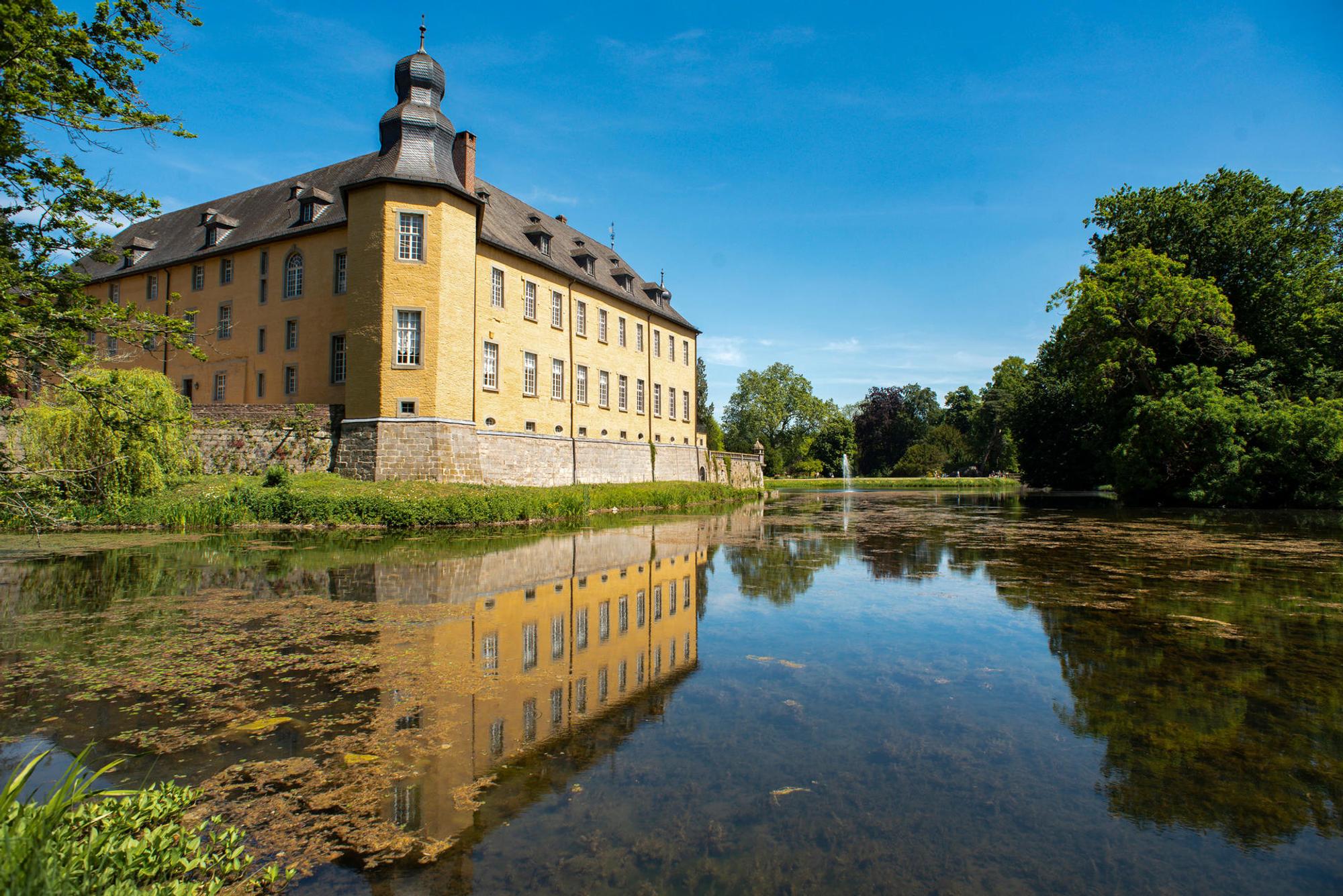 Dyck-Aufmacher