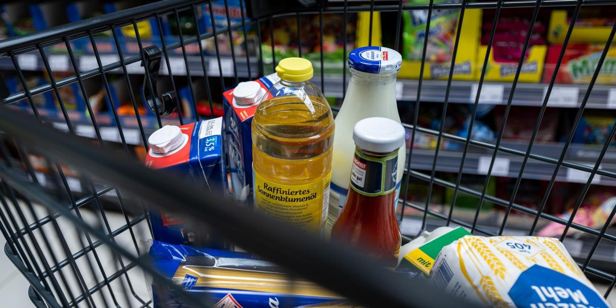 EInkaufswagen dpa Einkaufen