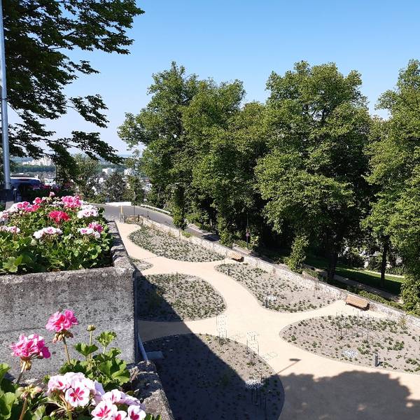 siegburger_rosengarten