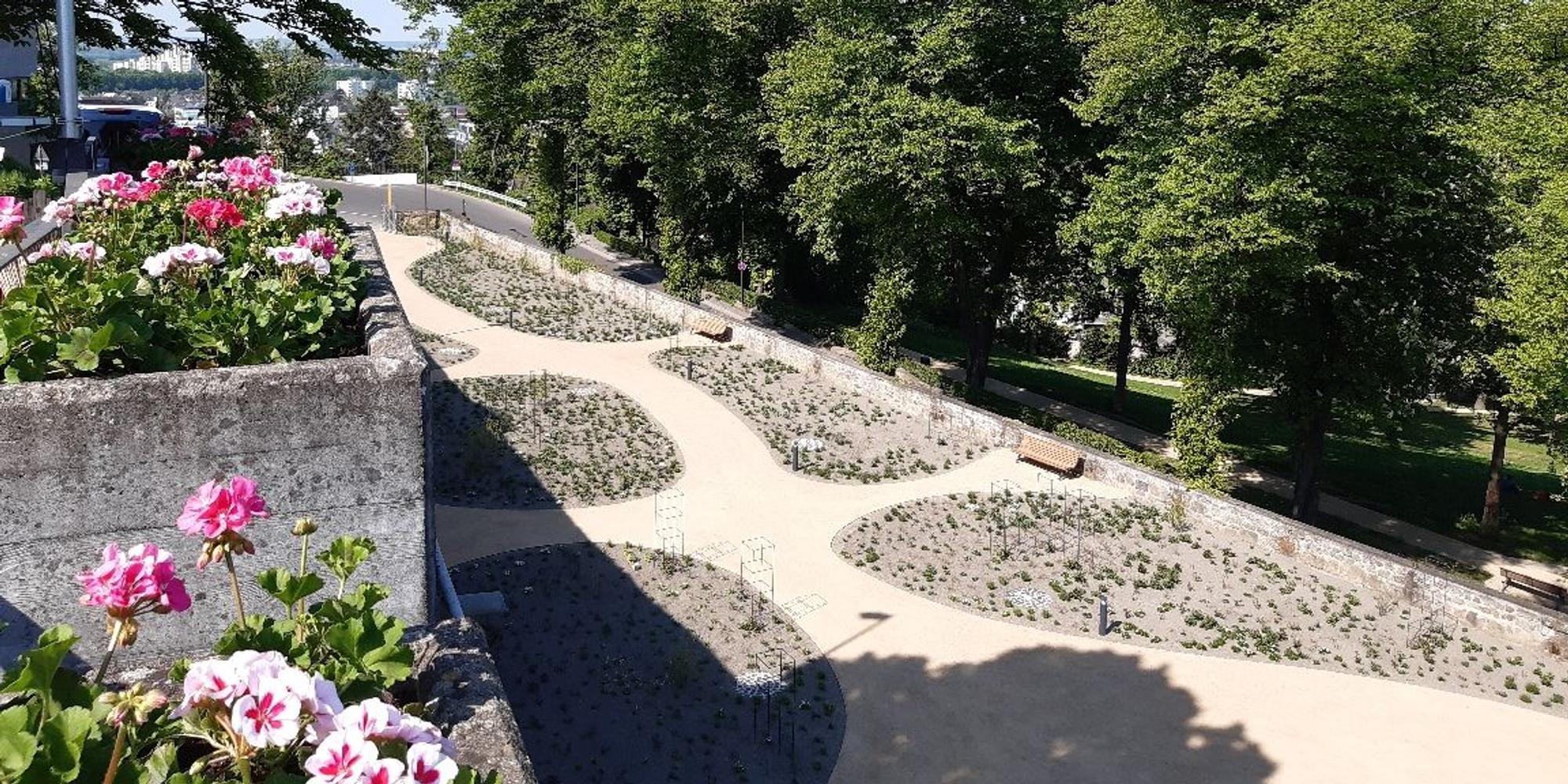siegburger_rosengarten