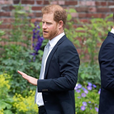 Prinz Harry und Prinz William stehen mit dem Rücken zueinander in einem Garten.