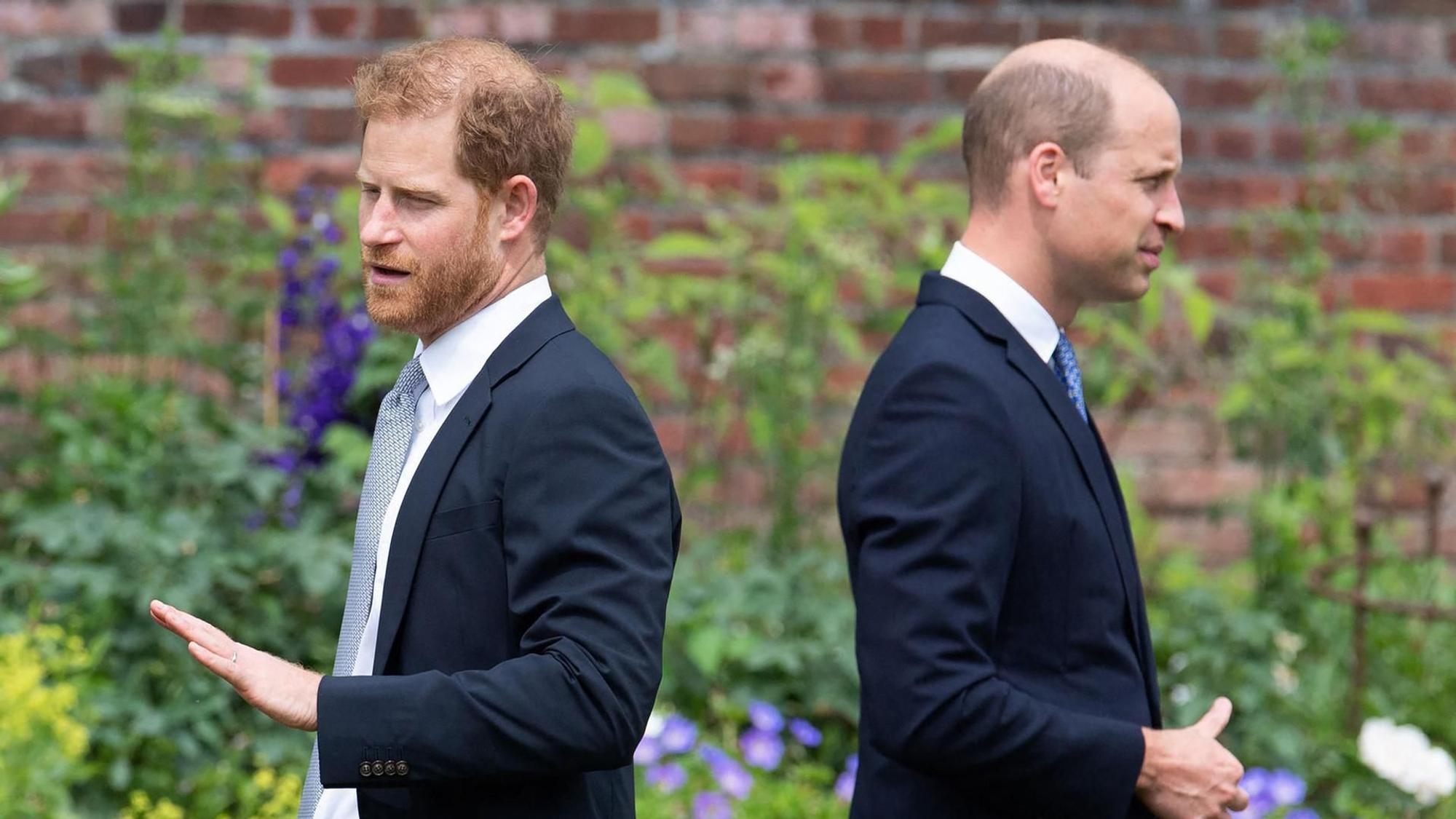 Prinz Harry und Prinz William stehen mit dem Rücken zueinander in einem Garten.