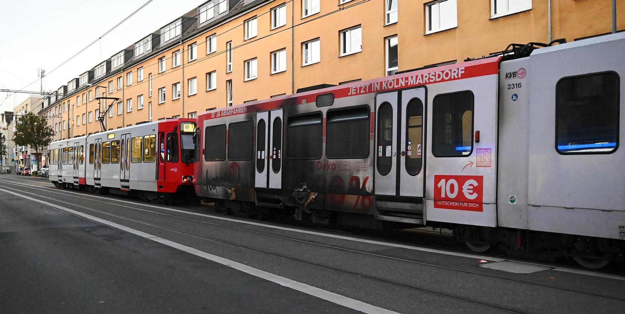 Neuer Inhalt (3)