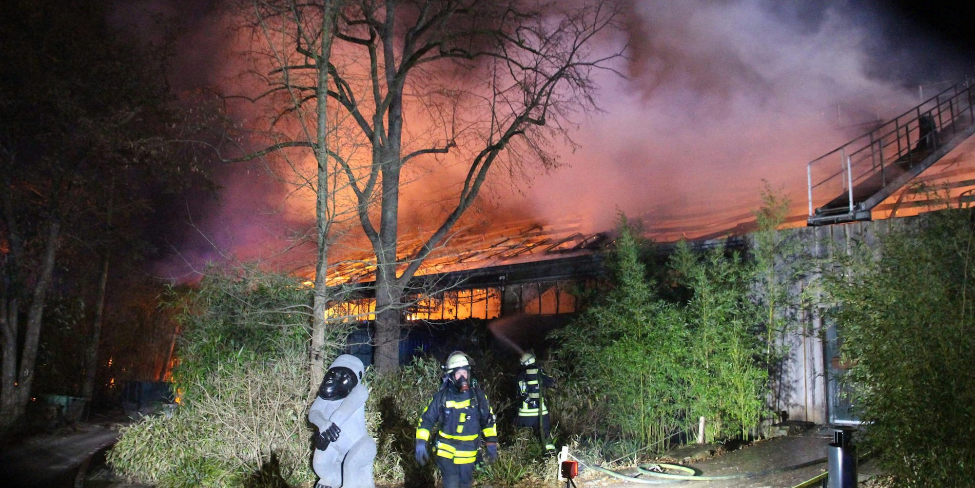 Krefeld Zoo Feuer neu