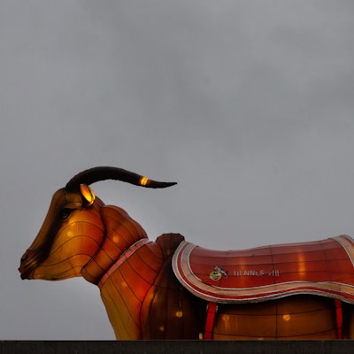 1._FC_Koeln_Geissbock