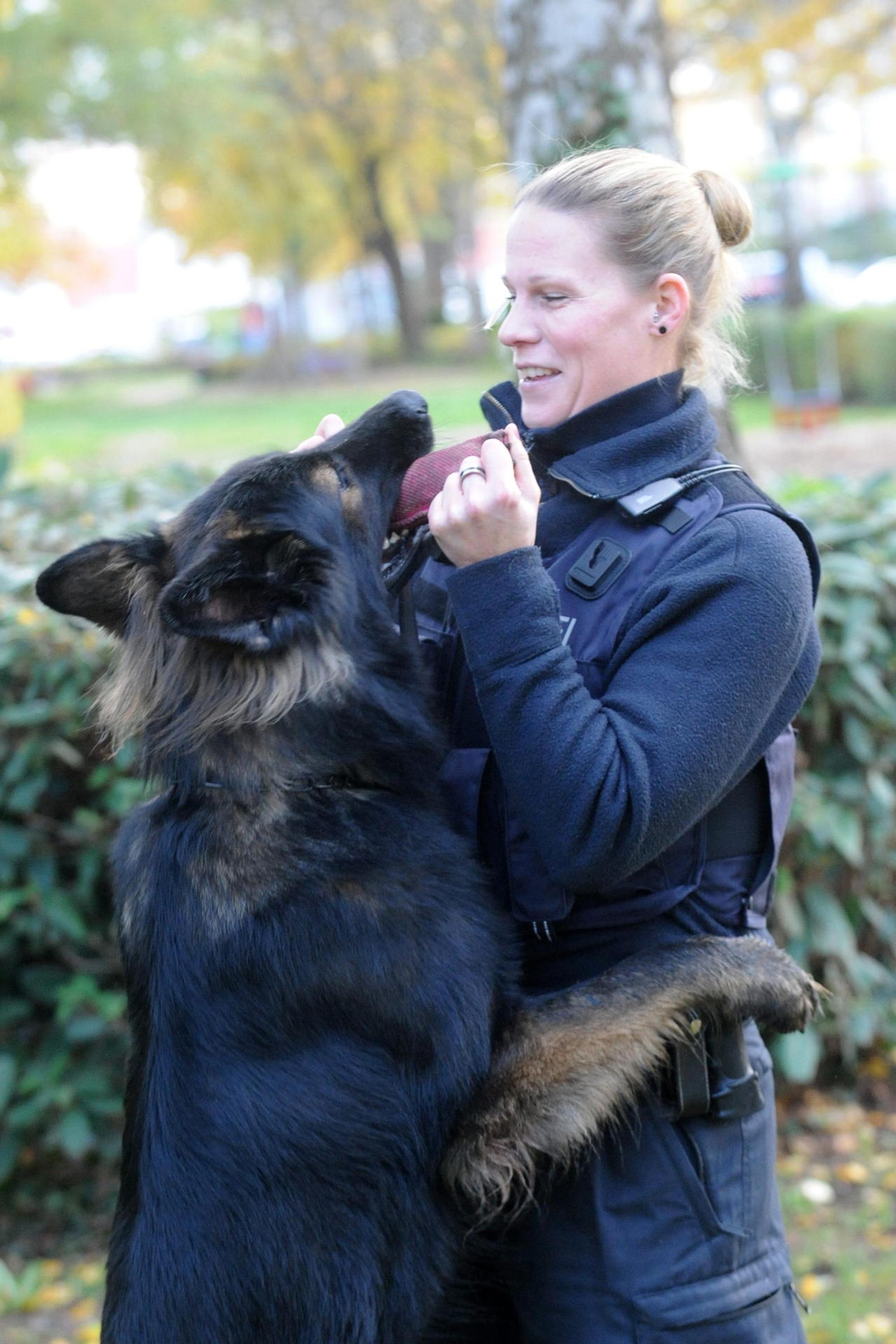 Hunde halten Polizei