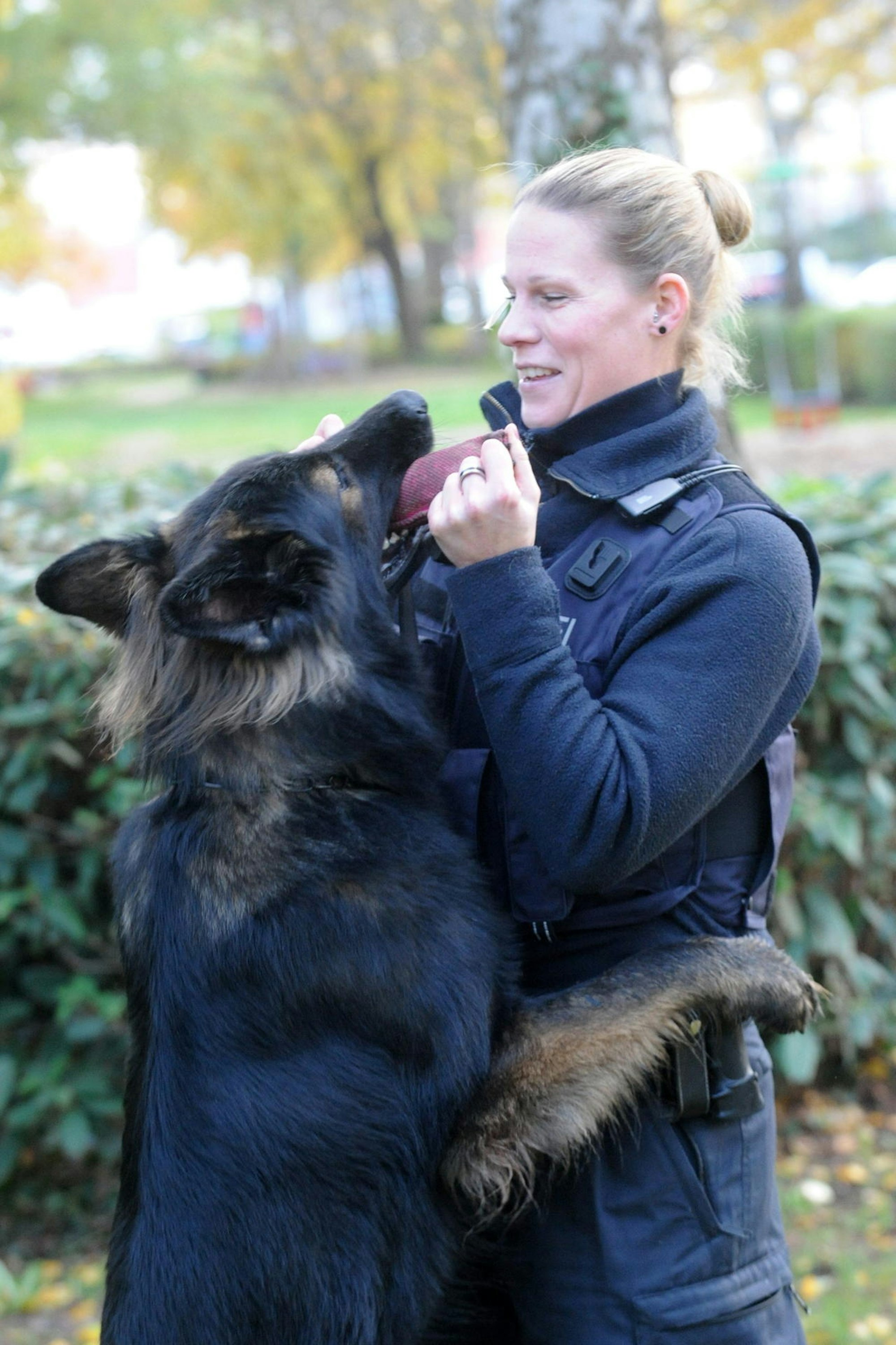 Hunde halten Polizei