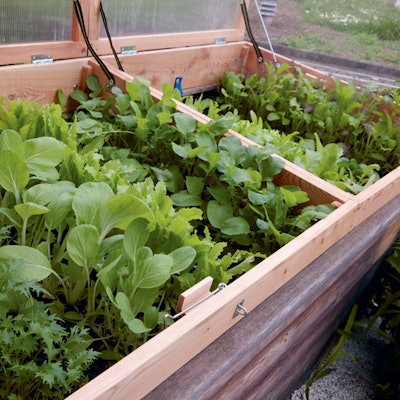 SensationellesWinterhochbeet----Doris-Kampas-3