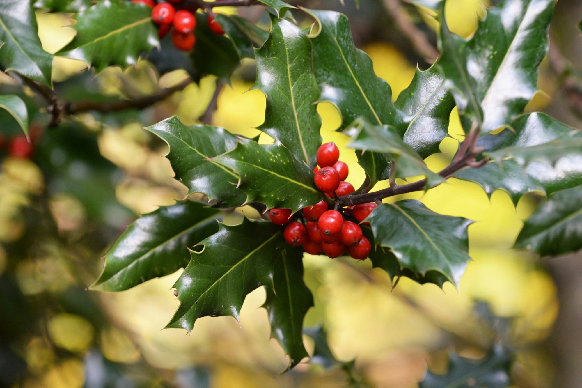 digas-176168263_MDS-KSTA-2021-03-08-71-170655325