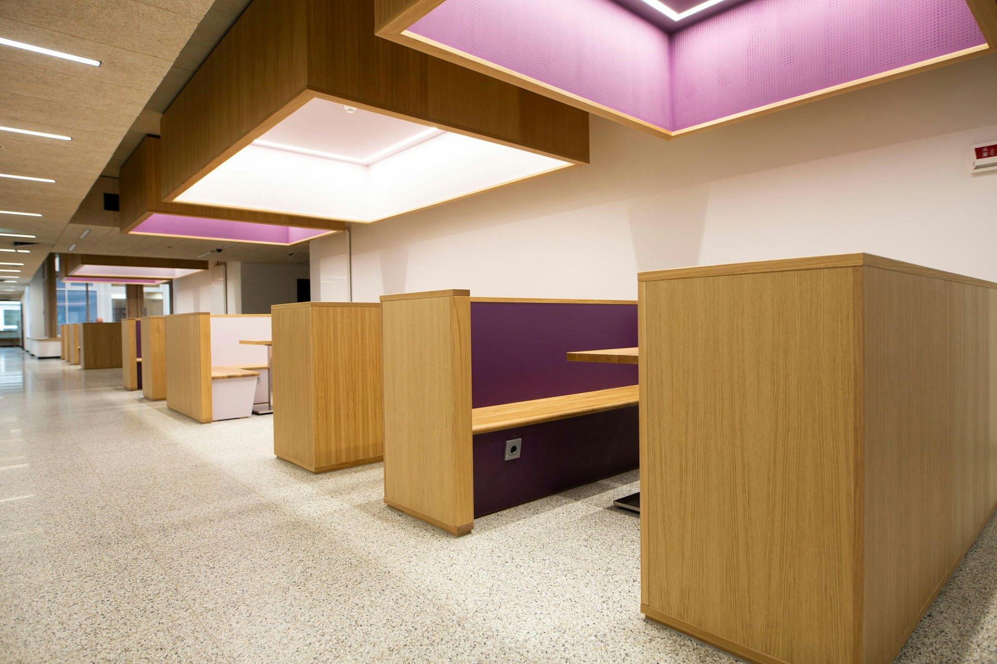 20220209_tb_Hildegard_von_Bingen_Gymnasium_004