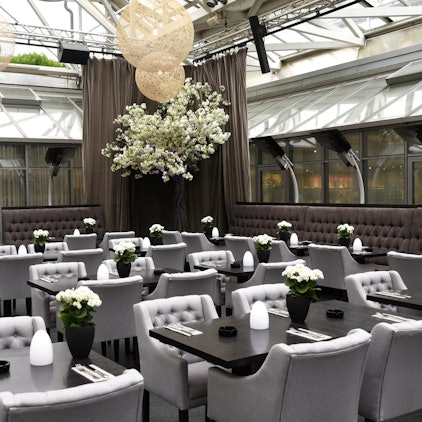 restaurant oscar henn stühle