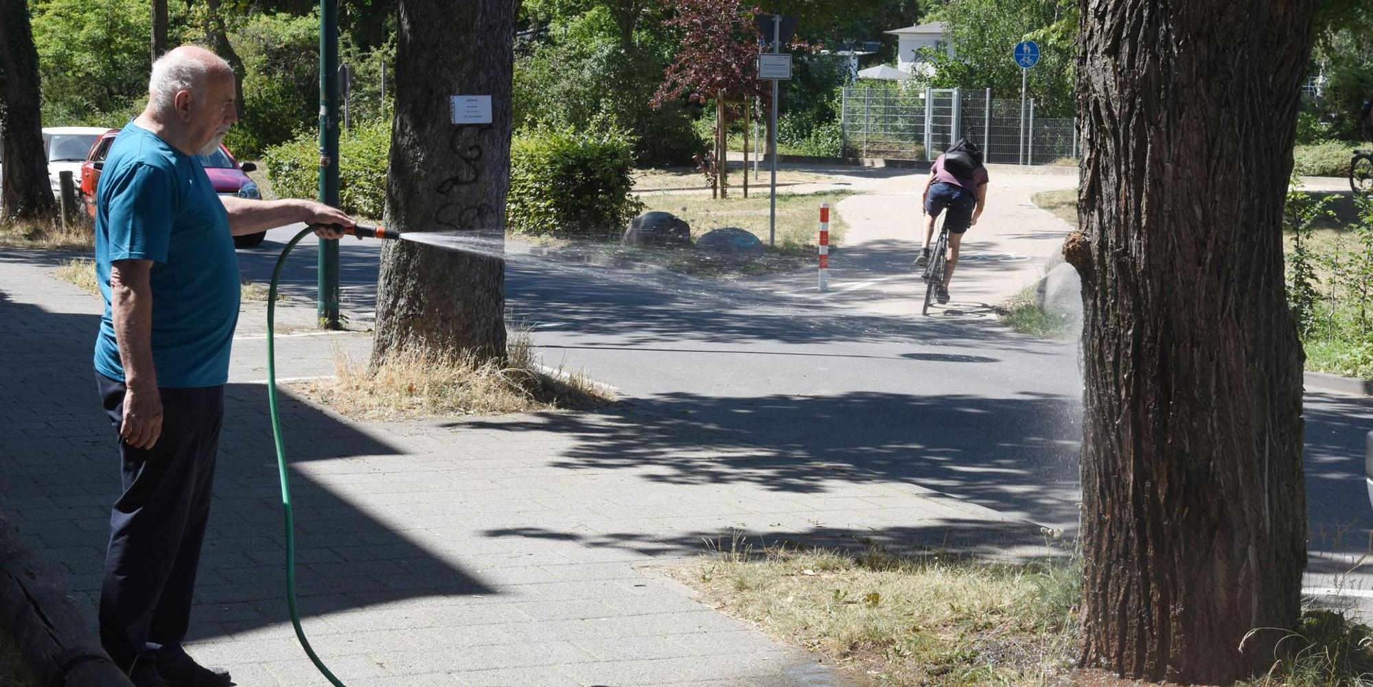 Symbolbild aus Hessen bäume gießen bürger