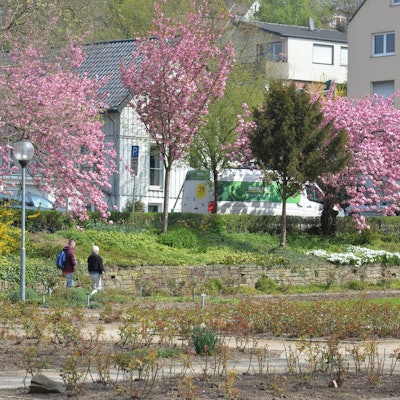 Rosengarten-Park