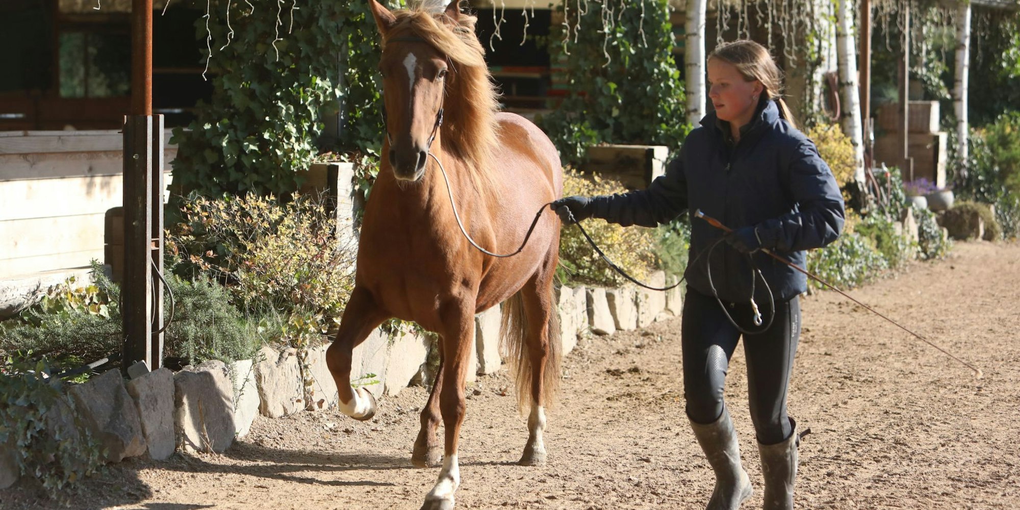 20220930-rkl-gestuet-feldmann-aegidienberg-8