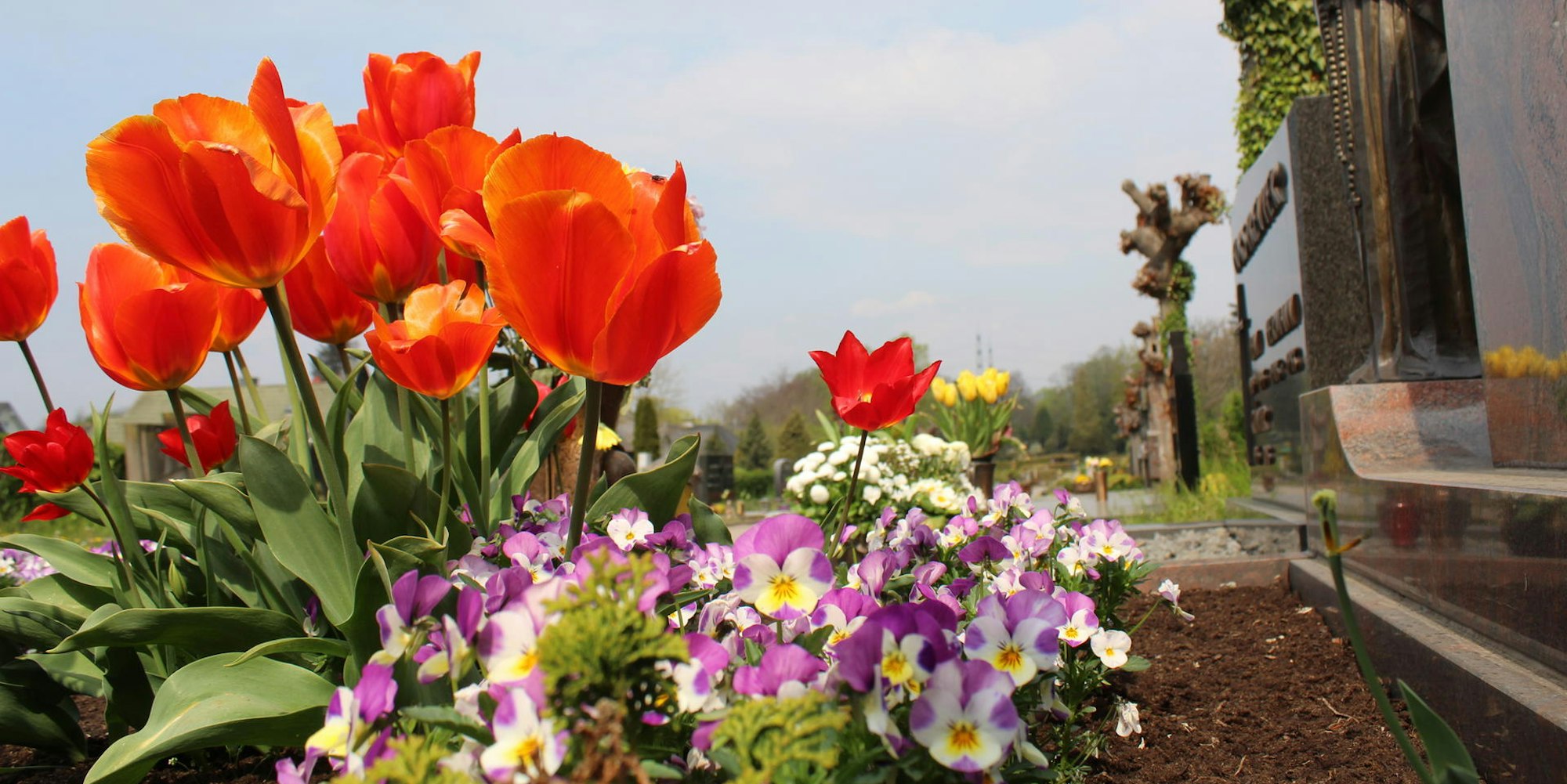 Bergheim_Friedhof_St._Remigius_(7)