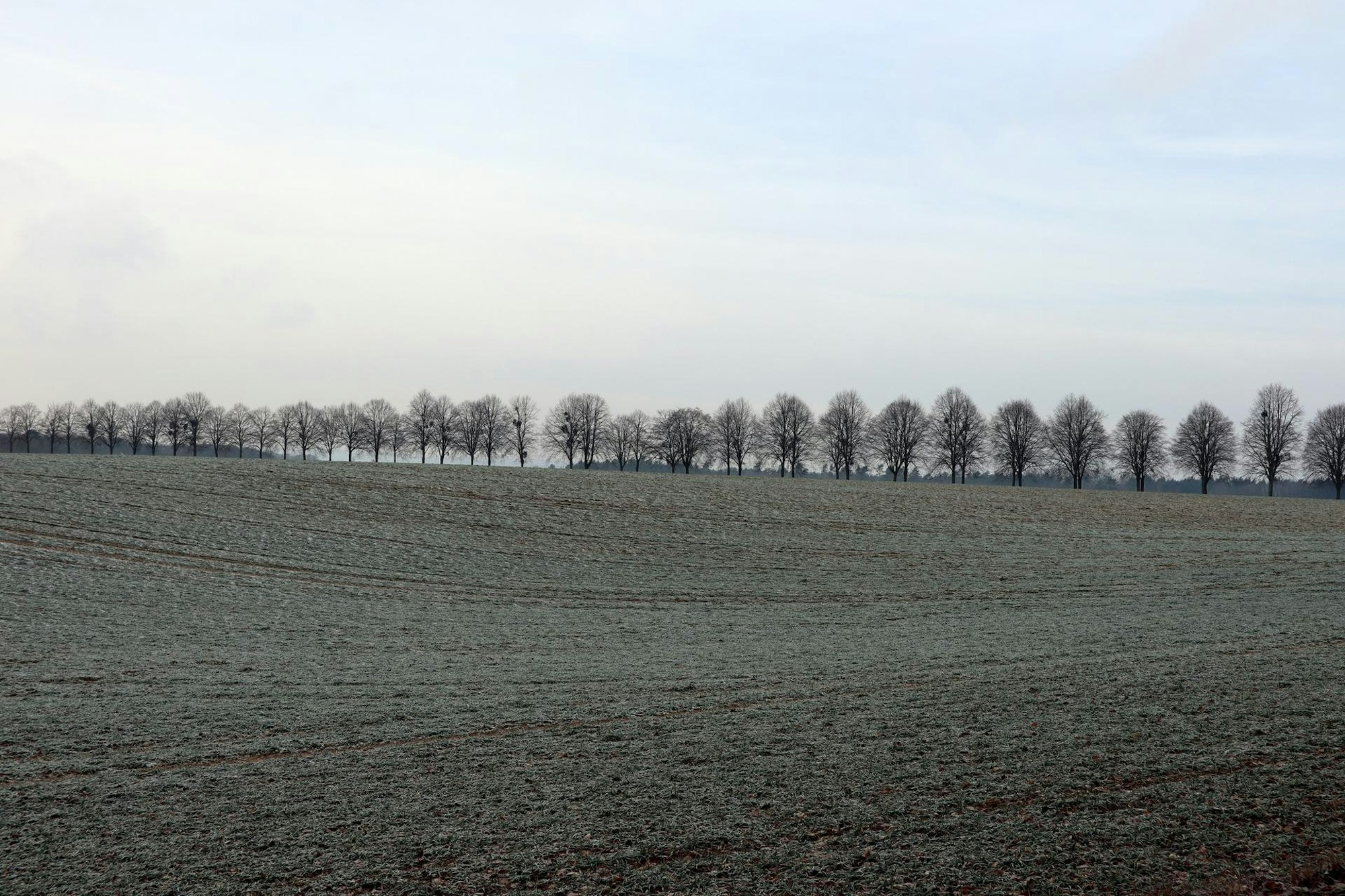 Mönchsheide und der Rhein mit Schloß Arenfeld