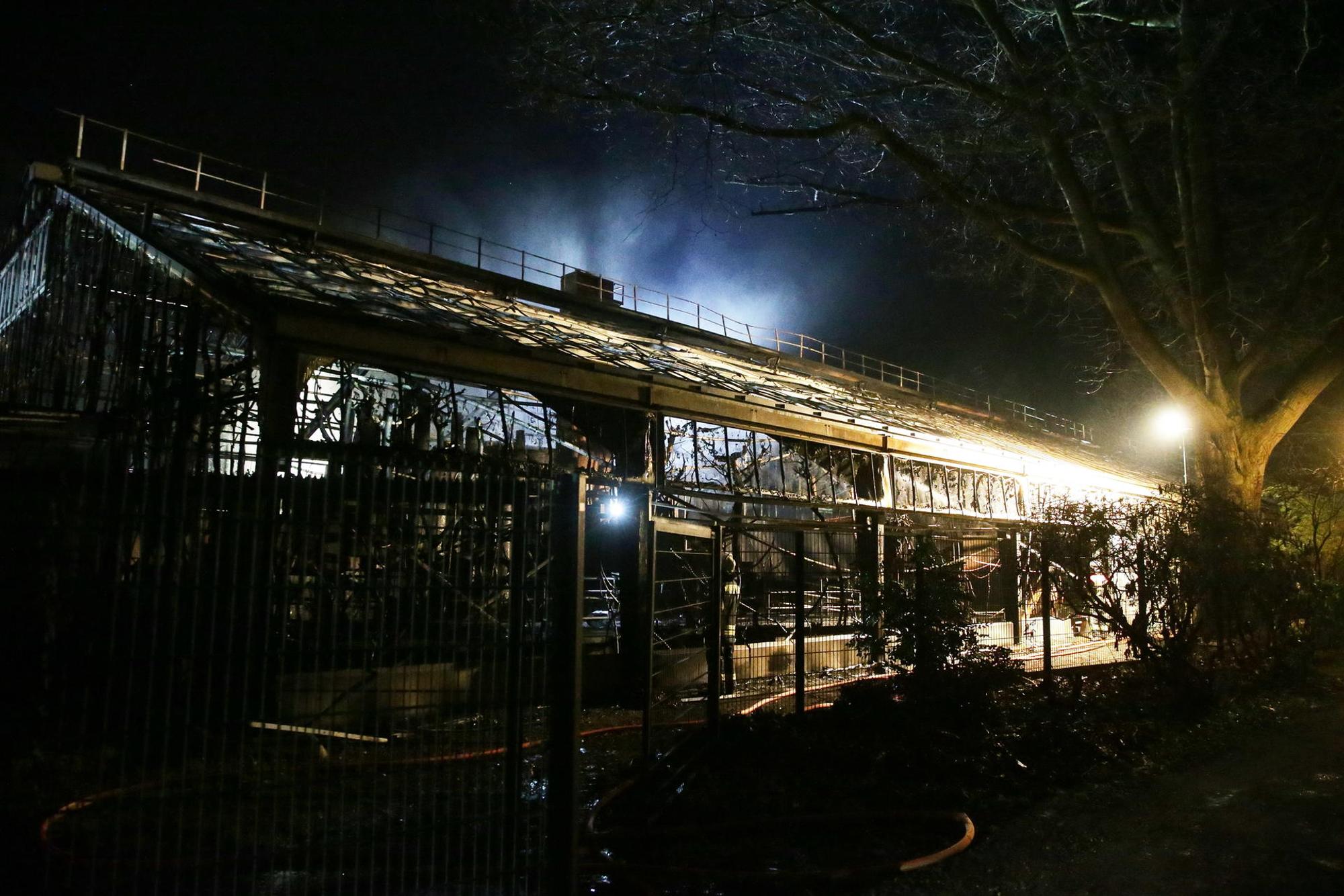Krefeld Zoo Feuer