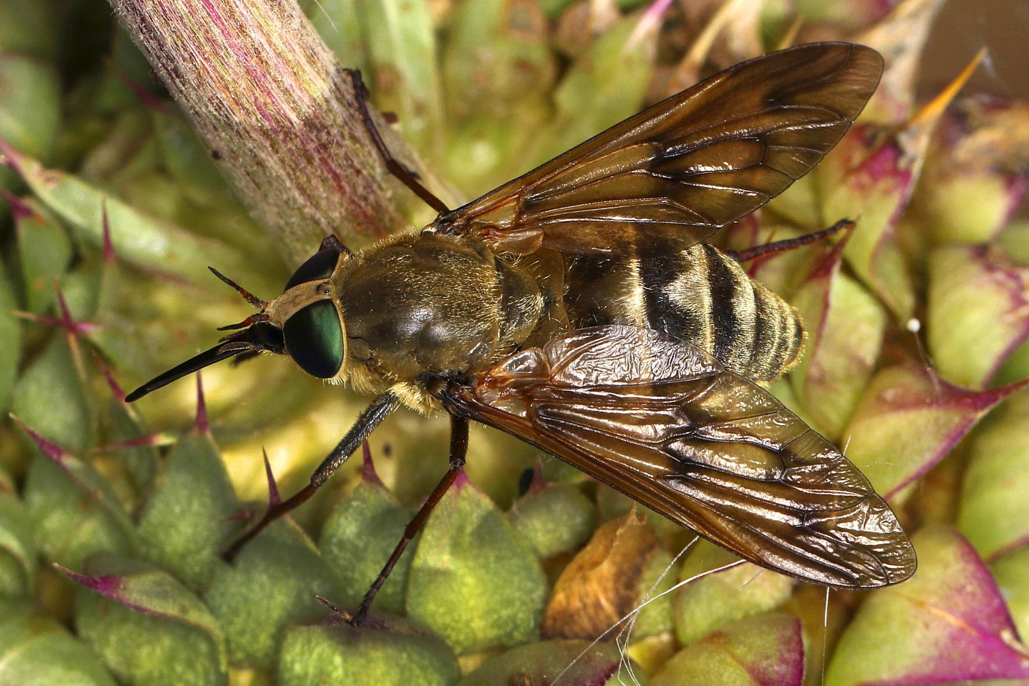 imago71534349h
