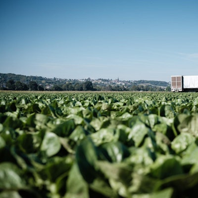 Obst und Gemüseanbau Schwarz in Dersdors