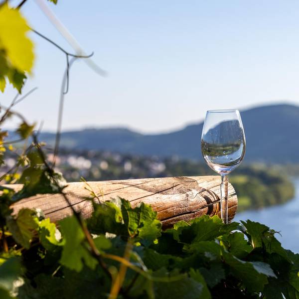 weinglas an der mosel