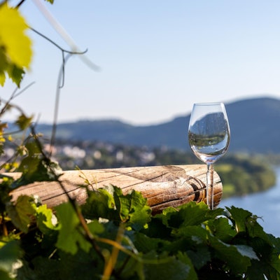 weinglas an der mosel