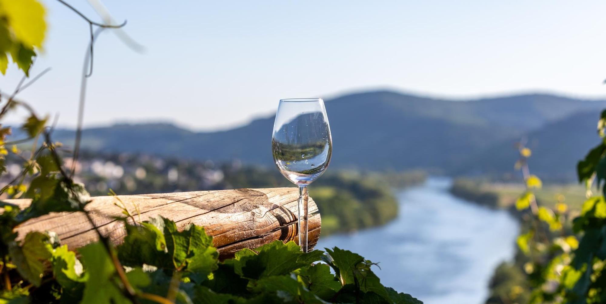weinglas an der mosel