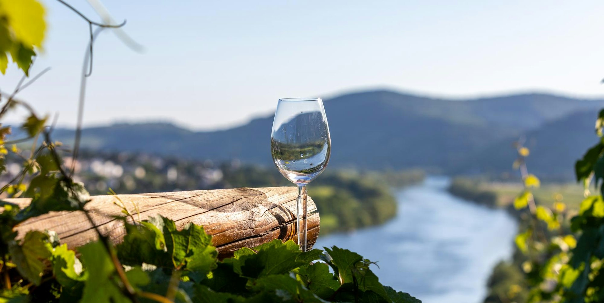 weinglas an der mosel