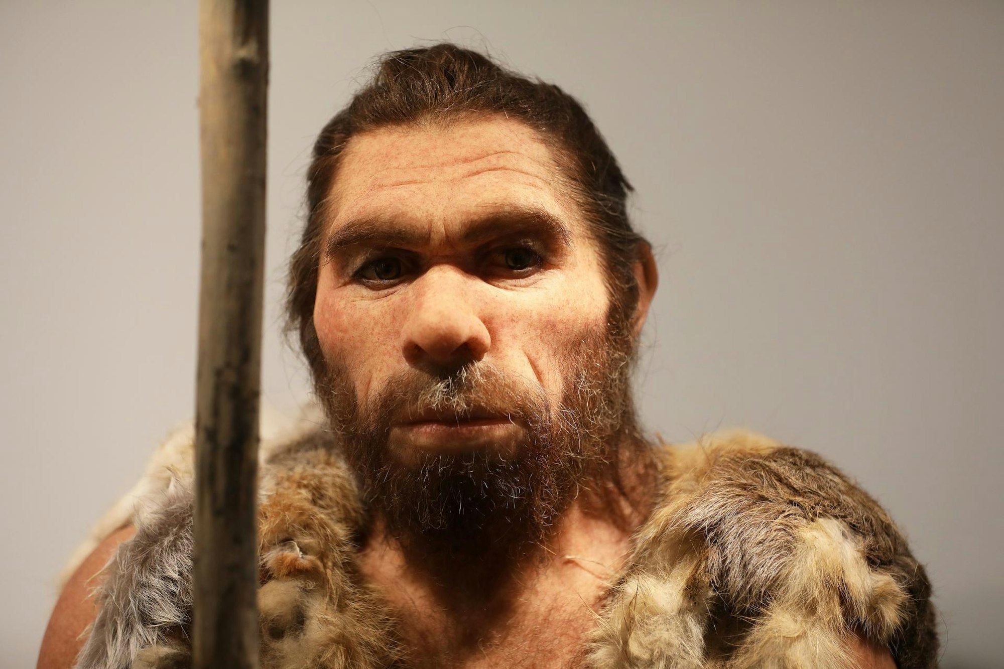 Neandertaler 3