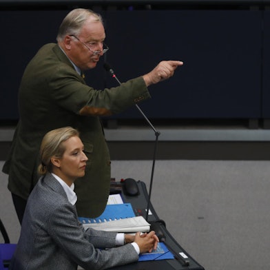 Weidel Gauland Bundestag